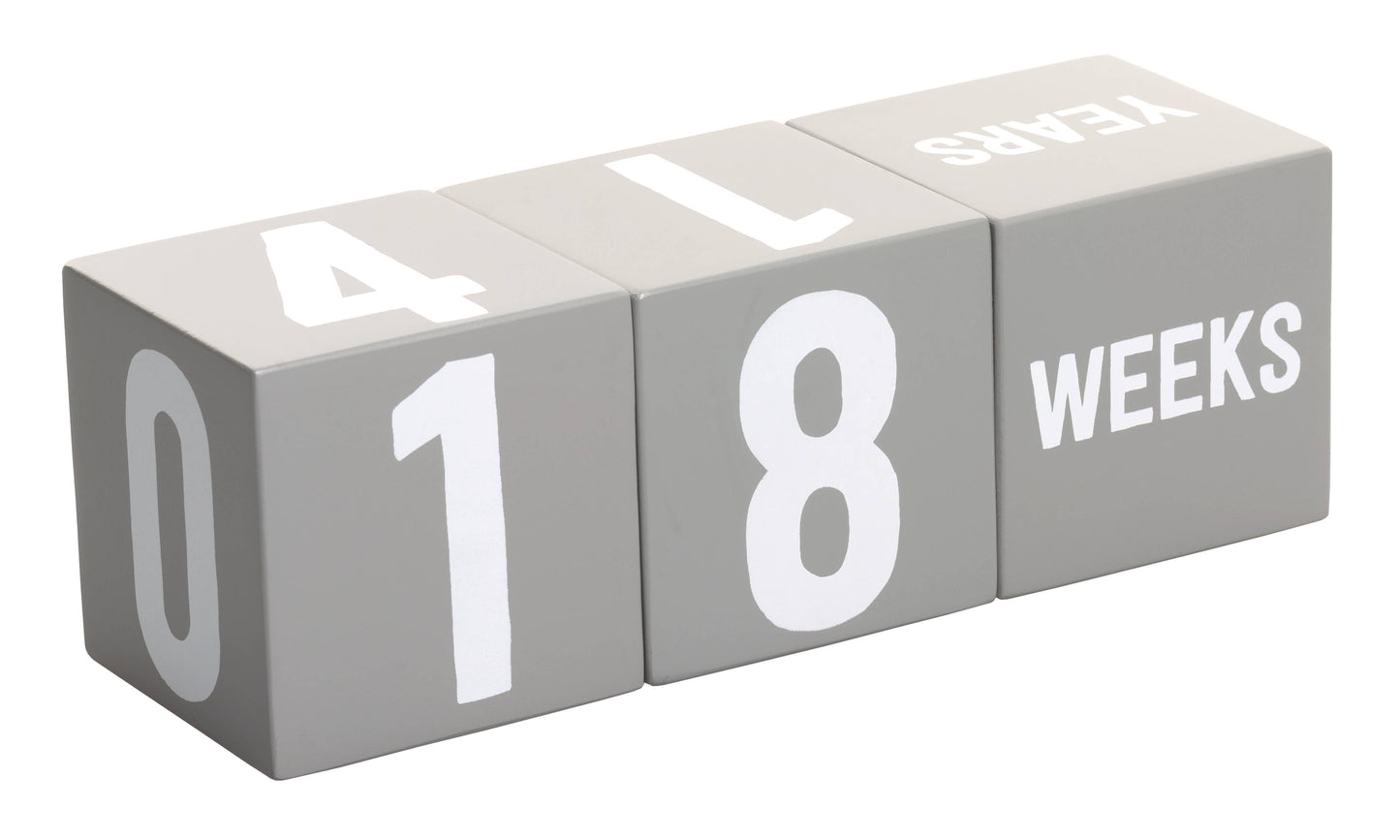 Milestone Age Blocks, Gray