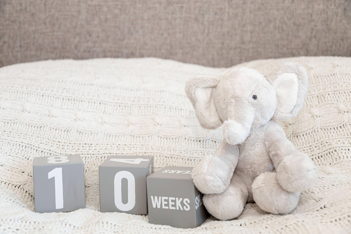 Milestone Age Blocks, Gray