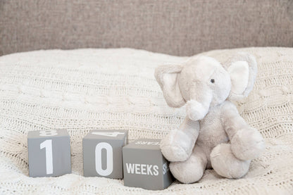 Milestone Age Blocks, Gray
