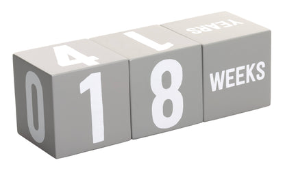 Milestone Age Blocks, Gray