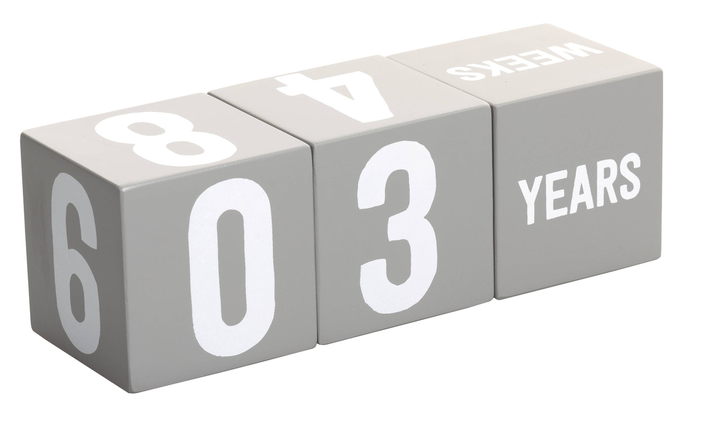 Milestone Age Blocks, Gray