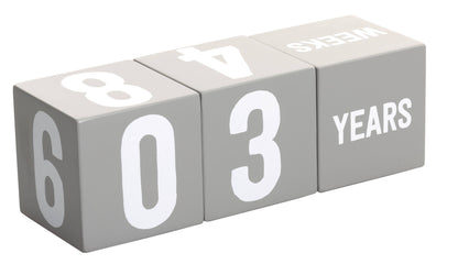 Milestone Age Blocks, Gray