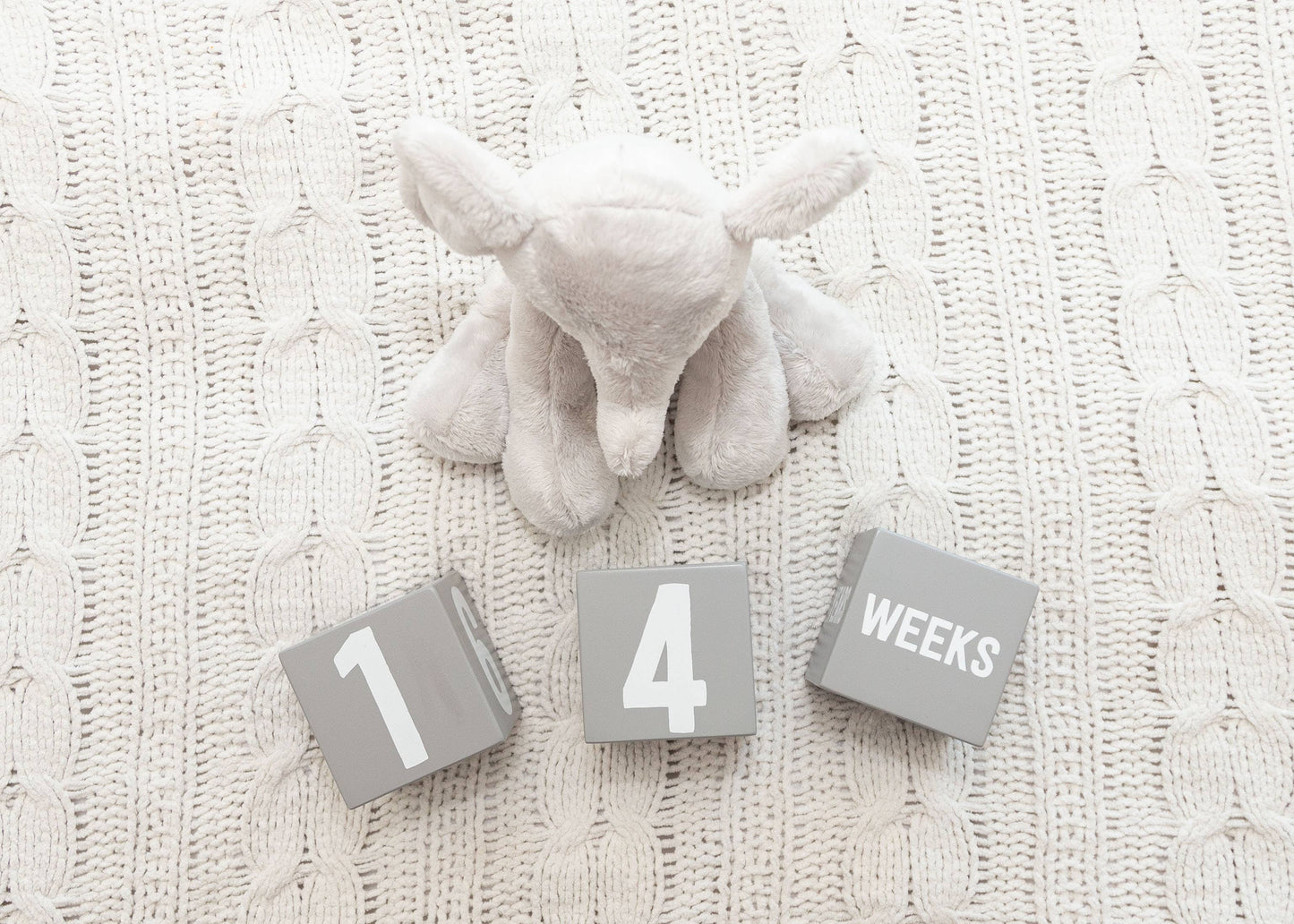 Milestone Age Blocks, Gray